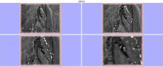 [Contact Sheet112[3].jpg]